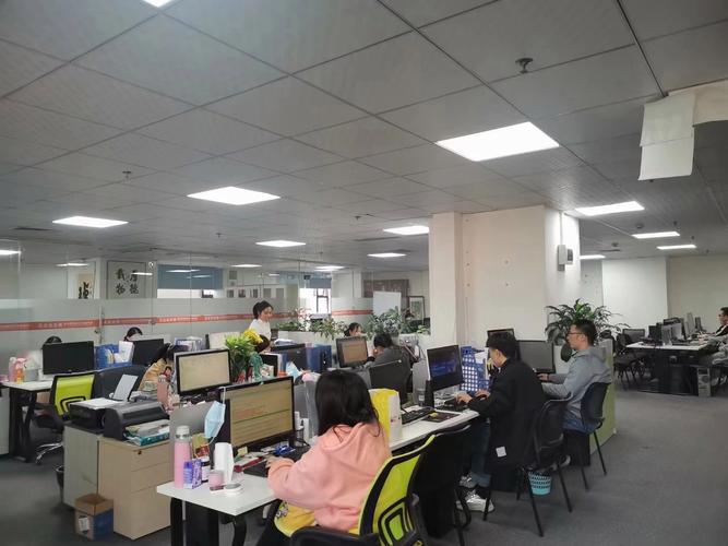 信息技術賦能，金黑網絡的服務精進之道